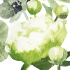 Pentik Servietit^Freesia Servietti Vihreä