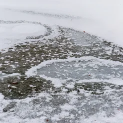 Pentik Lautaset Ja Kulhot^Riite Lasilautanen Vihreä