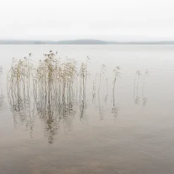 Pentik Kankaat^Ruoko Puuvillakangas Luonnonvalkoinen